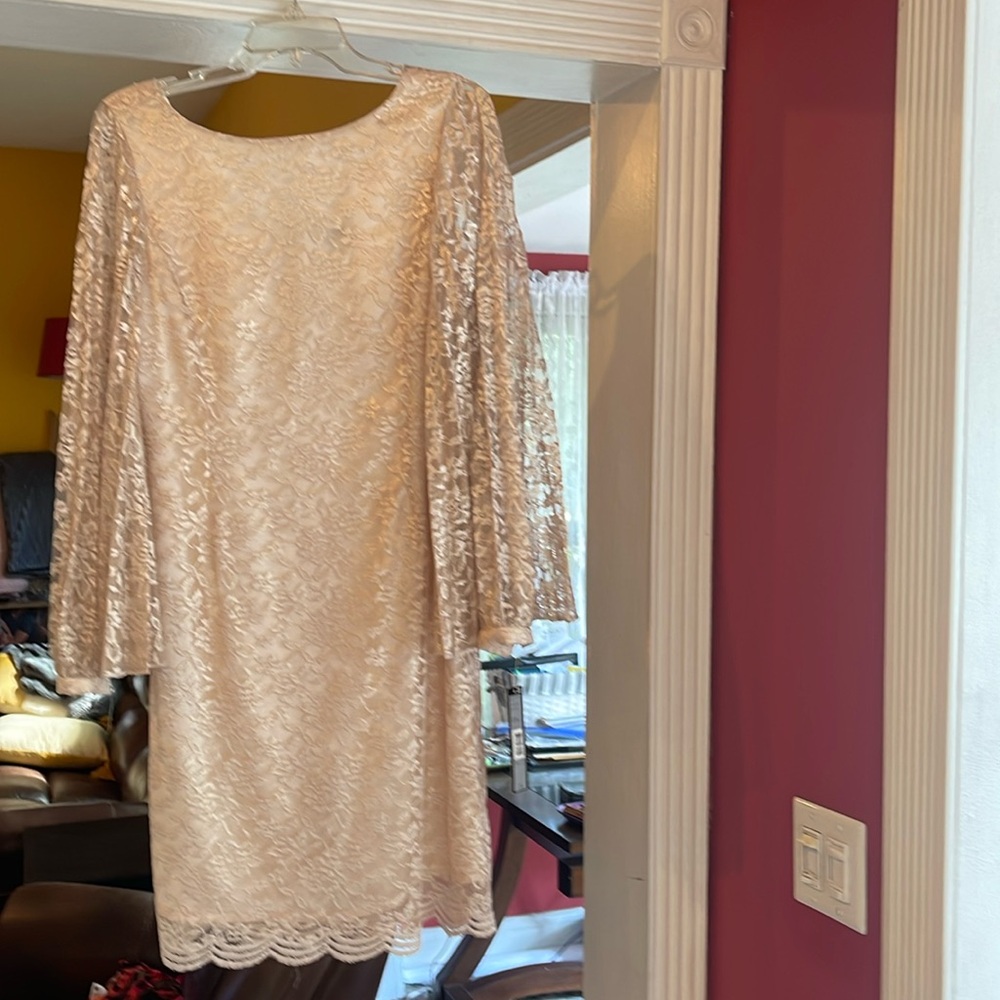 Dressy champagne gold dress with bell sleeves